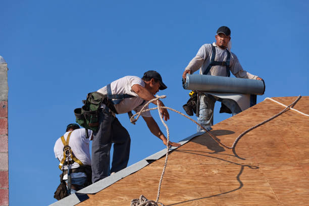 Best Metal Roofing Contractor  in Eudora, AR