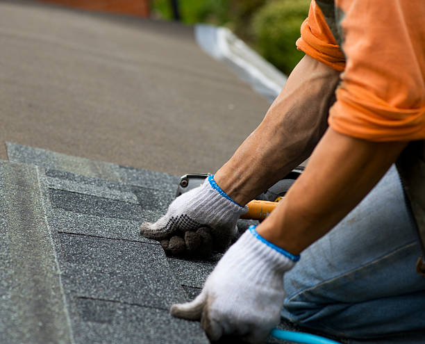 Best Shingle Roofing Installation  in Eudora, AR