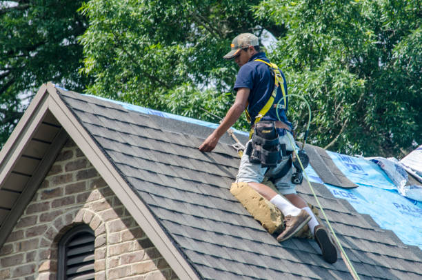 Best Local Roofing Companies  in Eudora, AR